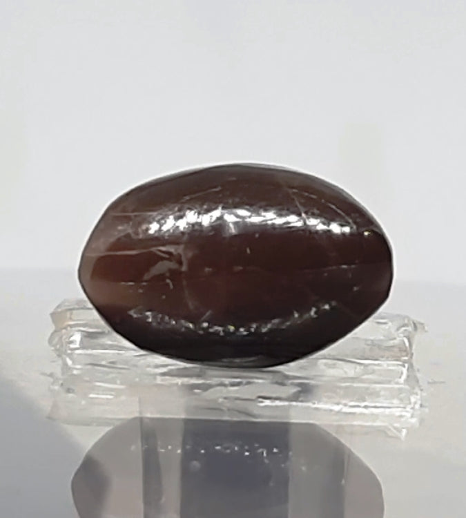 8.85 Ratti Natural Scapolite Cat's Eye with Govt. Lab Certified-(1221)