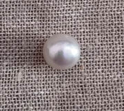 11.13/CT South Sea Pearl with Govt. Lab Certificate-1550
