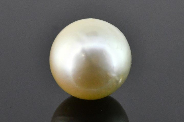 8.45/CT South Sea Pearl with Govt. Lab Certificate-1550