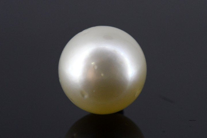 10.38/CT South Sea Pearl with Govt. Lab Certificate-1550