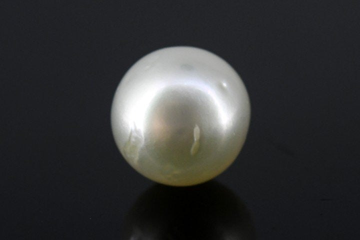 7.27/CT South Sea Pearl with Govt. Lab Certificate-1550