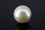 Load image into Gallery viewer, 8.29/CT South Sea Pearl with Govt. Lab Certificate-1550