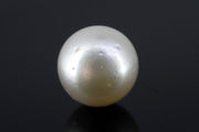 15.06/CT South Sea Pearl with Govt. Lab Certificate-1550