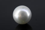 Load image into Gallery viewer, 12.35/CT South Sea Pearl with Govt. Lab Certificate-1550
