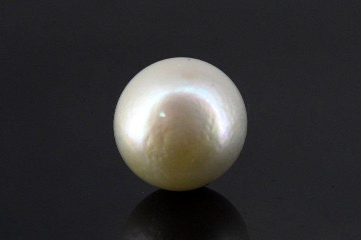 23.65/CT South Sea Pearl with Govt. Lab Certificate-1550