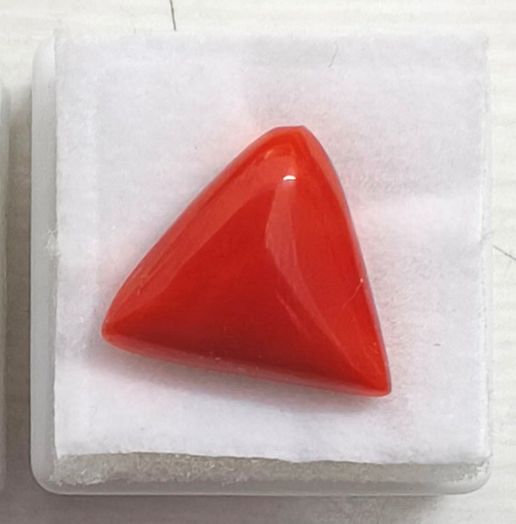 17.33/Carat Natural Cylindrical Red Coral-3100